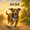 Duke book cover